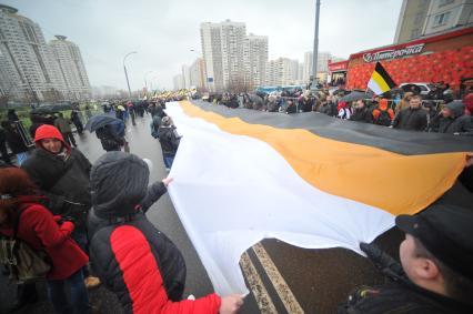 День народного единства. На снимке: митингующие держат имперский флаг во время акции `Русский марш` в Люблино.