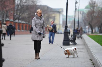 Открытие новой пешеходной зоны в районе `Замоскворечье`. Лаврушинский переулок. На снимке: женщина выгуливает собаку.