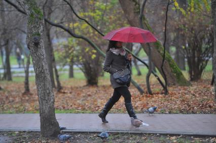 Дождь в городе. На снимке:девушка под зонтом