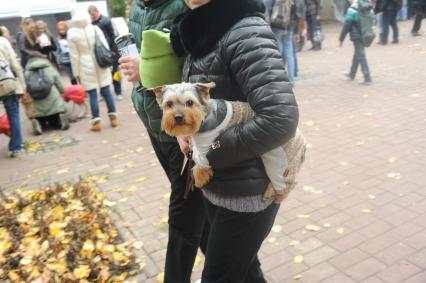 ЦПКиО им. Горького.  Выставка собак из московских приютов, приуроченная к международному дню защиты животных. На снимке: женщина с собакой на руках.