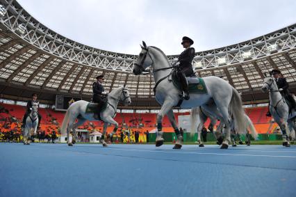 СК `Лужники`.  Спортивный праздник московской полиции. На снимке: показательные выступления конной полиции.