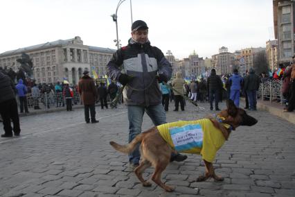 Евромайдан. Акция сторонников евроинтеграции Украины на площади Независимости. На снимке: плакат на собаке `Импичмент Януковичу`.