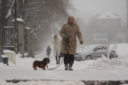 Снегопад в Екатеринбурге. На снимке: женщина выгуливает собаку.