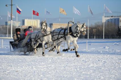 На московском ипподроме прошел заезд русских троек. На снимке: тройка белых лошадей.