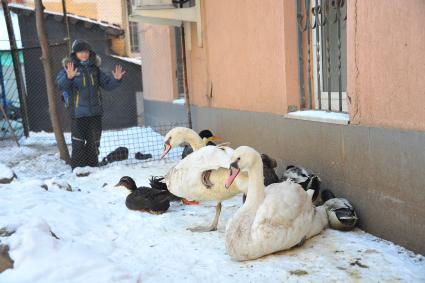 Активисты `Фронта освобождения животных` (ФОЖ) освободили 13 птиц из частного зоопарка на улице Макаренко в Москве.