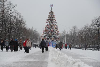 Московский парк культуры и отдыха `Сокольники`. На снимке:  новогодняя елка.