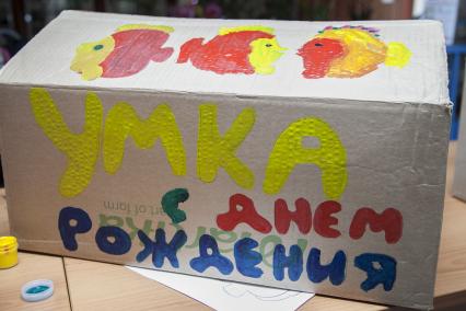 Дети приготовили белому медведю Умке из зоопарка Екатеринбурга подарок на день рождения. На снимке: коробка с подарком.