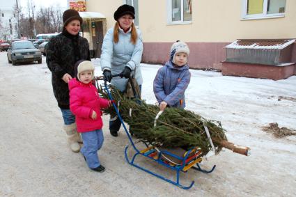 Семья с детьми везут новогоднюю елку на санках.