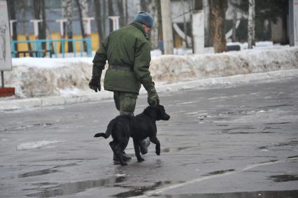 День защитника отечества. Войсковая часть 11361 (45 инженерно-саперная бригада). На снимке: кинолог с собакой.