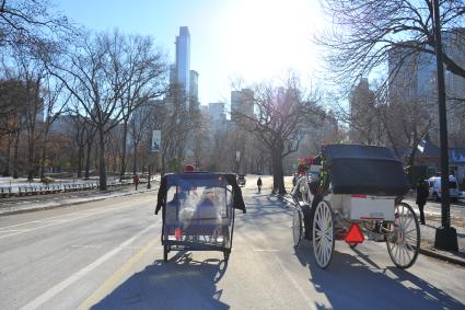 ÷ентральный парк (англ. Central Park) в Ќью-…орке.