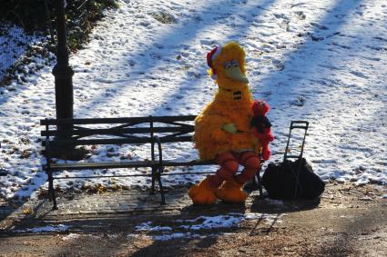 ÷ентральный парк (англ. Central Park) в Ќью-…орке.