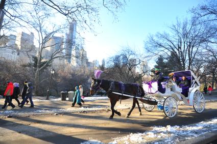 Карета едет по центральному парку (англ. Central Park) в Нью-Йорке.