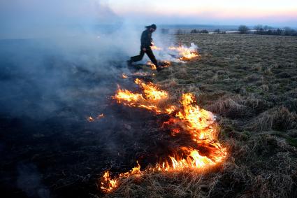 В Калининградской области поджигают сухую прошлогоднюю траву.