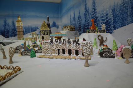 В Новосибирске открылась выставка \'Снежный пряничный городок и новогодние чудеса\'.