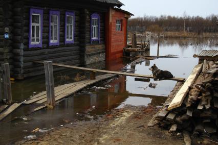 Паводок на реке Уста Уренского района Нижегородской области. Затопленный участок около жилого дома в деревне.