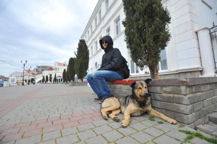 Балаклава. На снимке: бродячая собака.