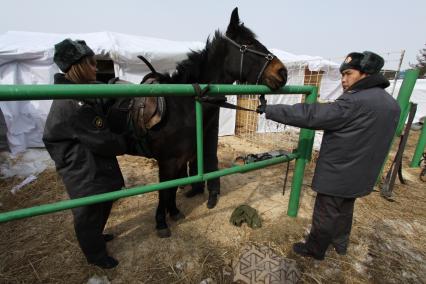 Конная полиция.