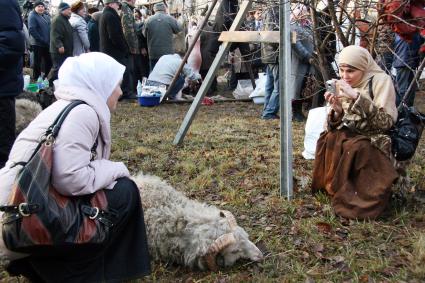 Женщины в хиджабах фотографируются на фоне барана.