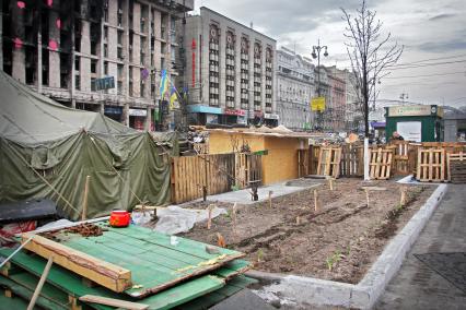 Грядка на площади Независимости в Киеве.