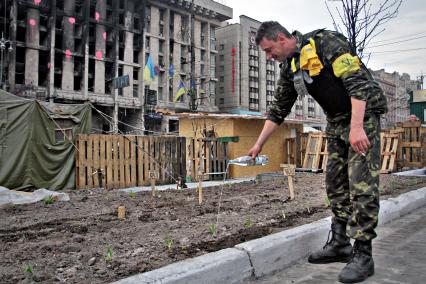 Грядка на площади Независимости в Киеве. Человек из самообороны майдана поливает грядку минеральной водой `Боржоми`.