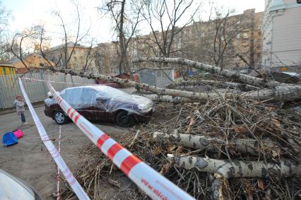 Малые Каменщики дом 6. В результате сильного ветра старое дерево упало на машины. На снимке: один из поврежденных автомобилей за оградительной лентой.