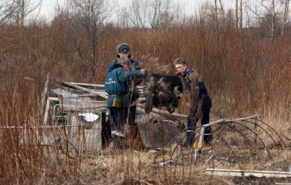 прокуратура и мчс ишут пропавшего ребенка, веши либо его останки