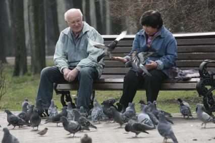 Пенсионеры кормят голубей.