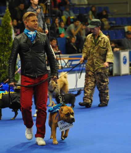 МВЦ `Крокус Экспо`. Международная выставка собак `Евразия 2014`. На снимке: певец Митя Фомин с американским стаффордширским терьером.