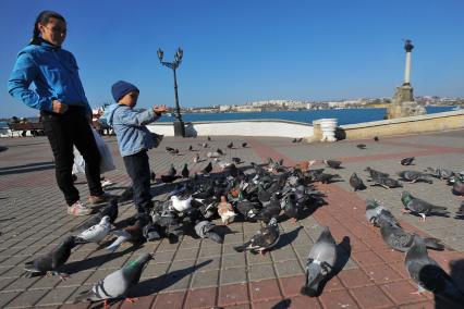 Севастополь. На снимке: мальчик кормит голубей на набережной.