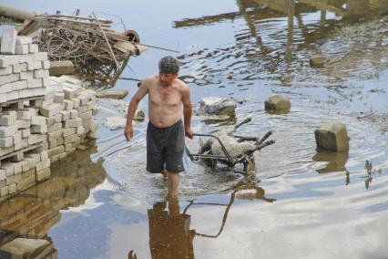 Житель везет погибшего барана.