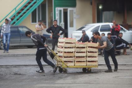 рабочий 4-й овощебазы в Екатеринбурге везет тележку с ящиками с фуктами и овощами