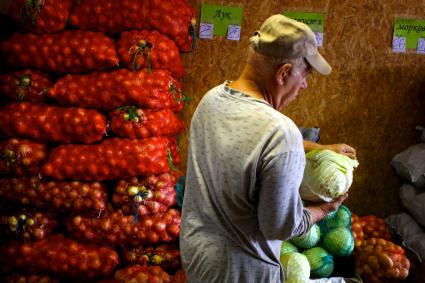 Продукты на базе в Калининграде.