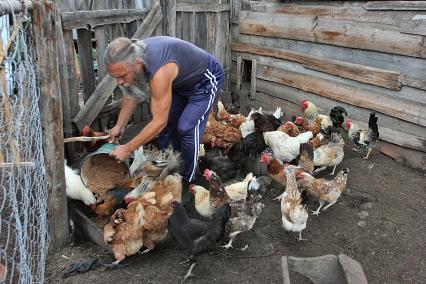 Мужчина кормит куриц во дворе деревенского дома.