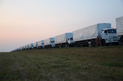 Воронеж. На снимке: автоколонна гуманитарной помощи для жителей юго-востока Украины на территории аэродрома.