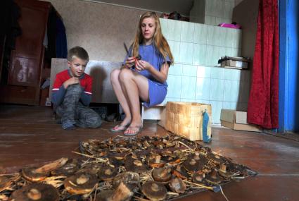Женщина с ребенком собираются сушить грибы.