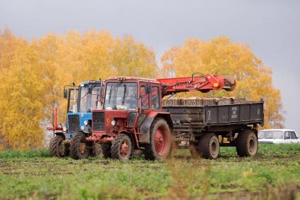 Тракторы в поле.