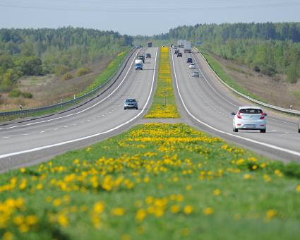 Граница с Республикой Беларусь. На снимке: автомобильная дорога М1.