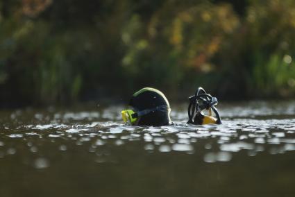 Водолаз в воде ищет во время поиска взрывчатки у плотины Волчихинского водохранилища. антитеррористические учения