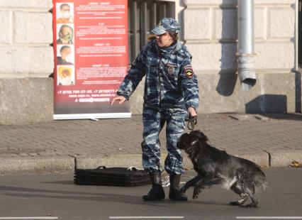 чения омон и мчс. кинолог