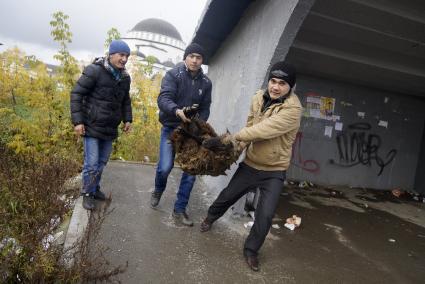 Мусульмане несут жертвенного барана в день праздника жертвоприношения Курбан-байрам у Медной мечети имени имама Исмаила аль-Бухари в городе Верхняя Пышма