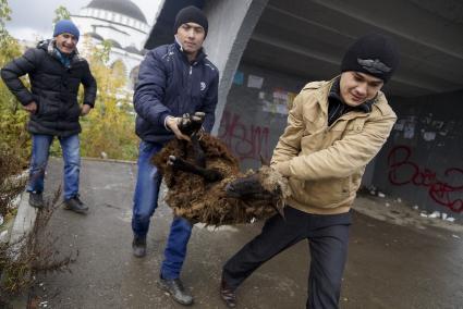 Мусульмане несут жертвенного барана в день праздника жертвоприношения Курбан-байрам у Медной мечети имени имама Исмаила аль-Бухари в городе Верхняя Пышма