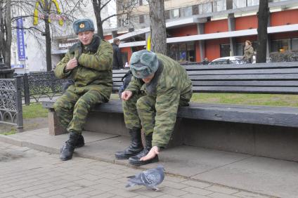 Солдат кормит голубя.