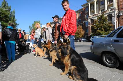 Донецк. Праздник в честь полугодичного существования Донецкой Народной Республики (ДНР). На снимке: люди с собаками на площади Ленина.