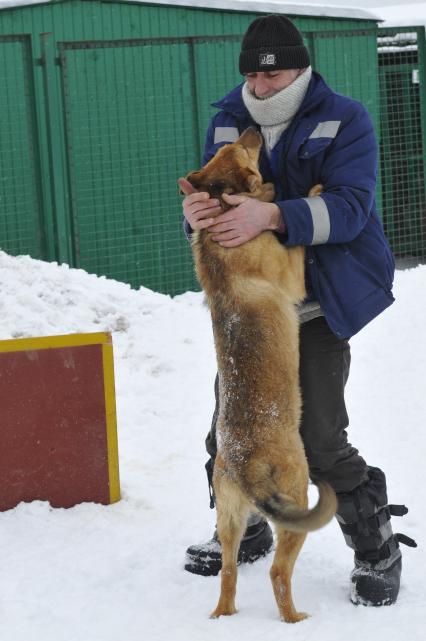 Собачий приют.