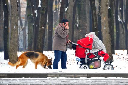 Первый снег в Москве. На снимке: мужчина с детской коляской и собакой гуляет по Петровскому парку.