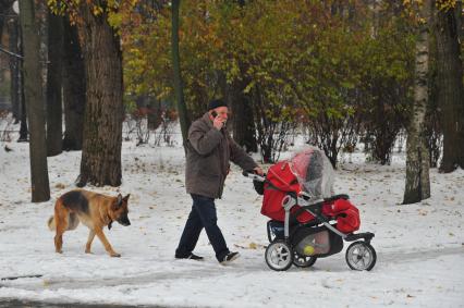 Первый снег в Москве. На снимке: мужчина с детской коляской и собакой гуляет по Петровскому парку.