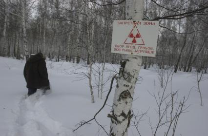 Восточно-Уральский заповедник. На снимке: знак радиоактивности в лесу. 29 сентября 1957г. произошла первая крупная радиационная катастрофа на ядерном комбинате `Маяк` в закрытом городе `Челябинск-40` (ныне Озерск), расположенным рядом с Кыштымом.