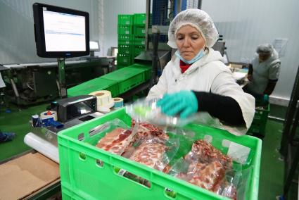 Сотрудник упаковочного участка сортирует продукция по ящикам. Агроферма \"Ариант\" в Челябинской области