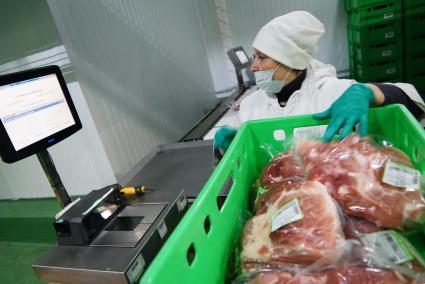 Сотрудник упаковочного участка сортирует продукция по ящикам. Агроферма \"Ариант\" в Челябинской области