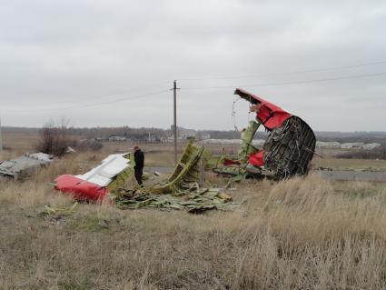 Место крушения малайзийского самолета Boeing, выполнявшего рейс MH17 Амстердам - Куала-Лумпур. На снимке: обломки самолета.